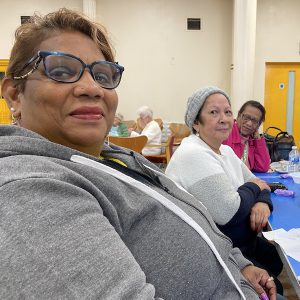 Mauritian Pensioners Group