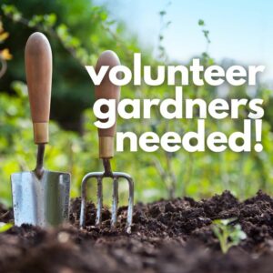Read more about the article Volunteer Gardners Needed!